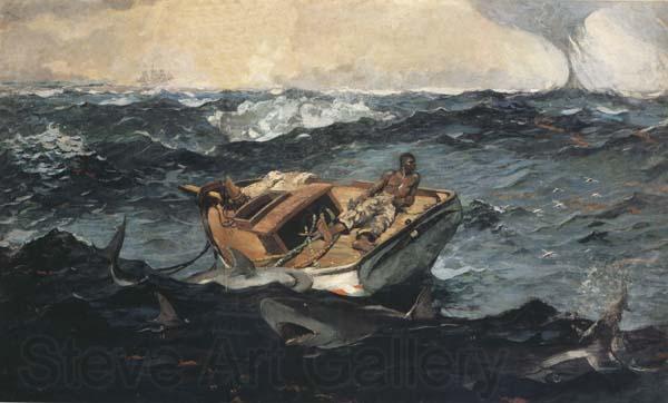 Winslow Homer The Gulf Stream (mk44) Germany oil painting art